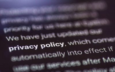 How to add a Privacy Policy link in your Divi Form