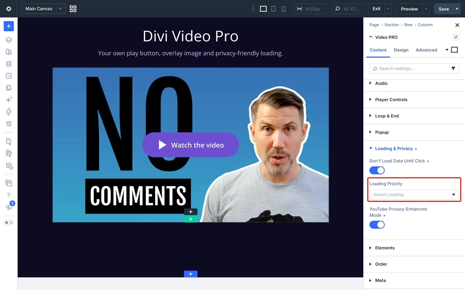The Loading and Privacy group with Don't Load Data Until Click and Loading Priority